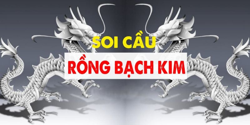 Tìm hiểu về dàn đề rồng bạch kim chi tiết