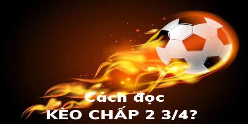 Lý do gì khiến bạn chọn Hello88 để trải nghiệm?